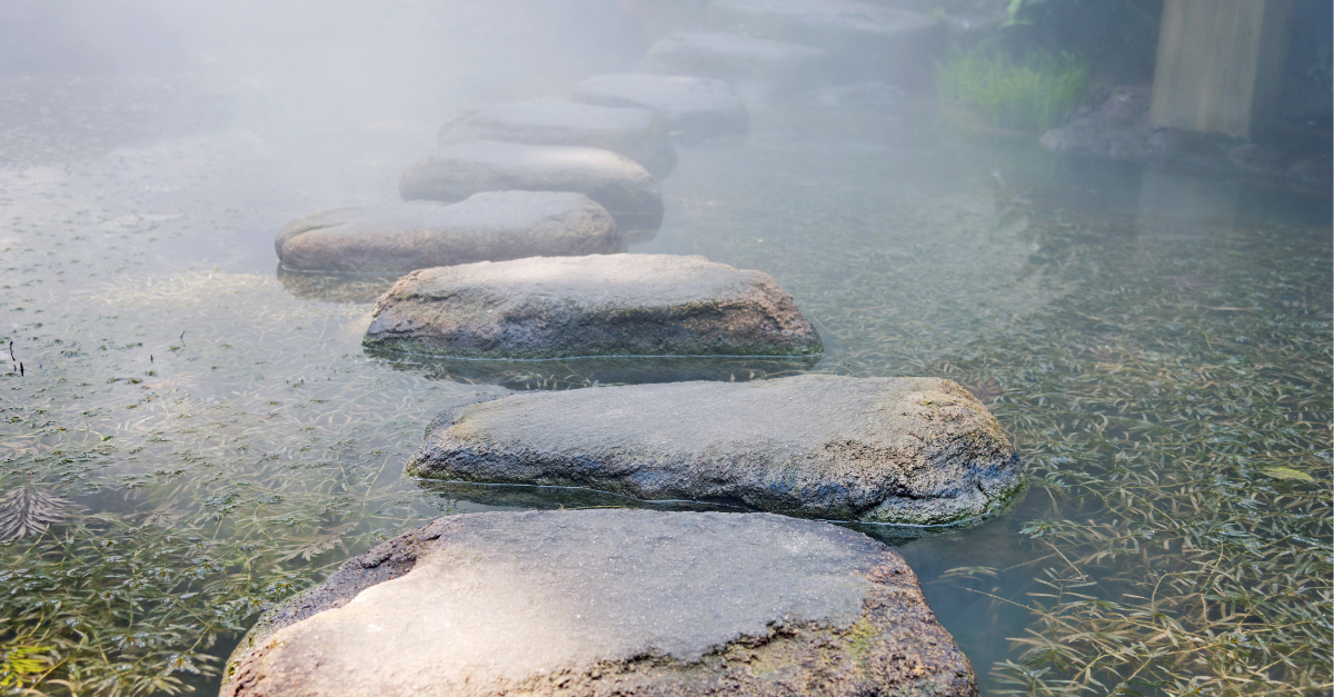 Stepping stones lie peacefully in a serene pond symbolizing the clear next steps to take.